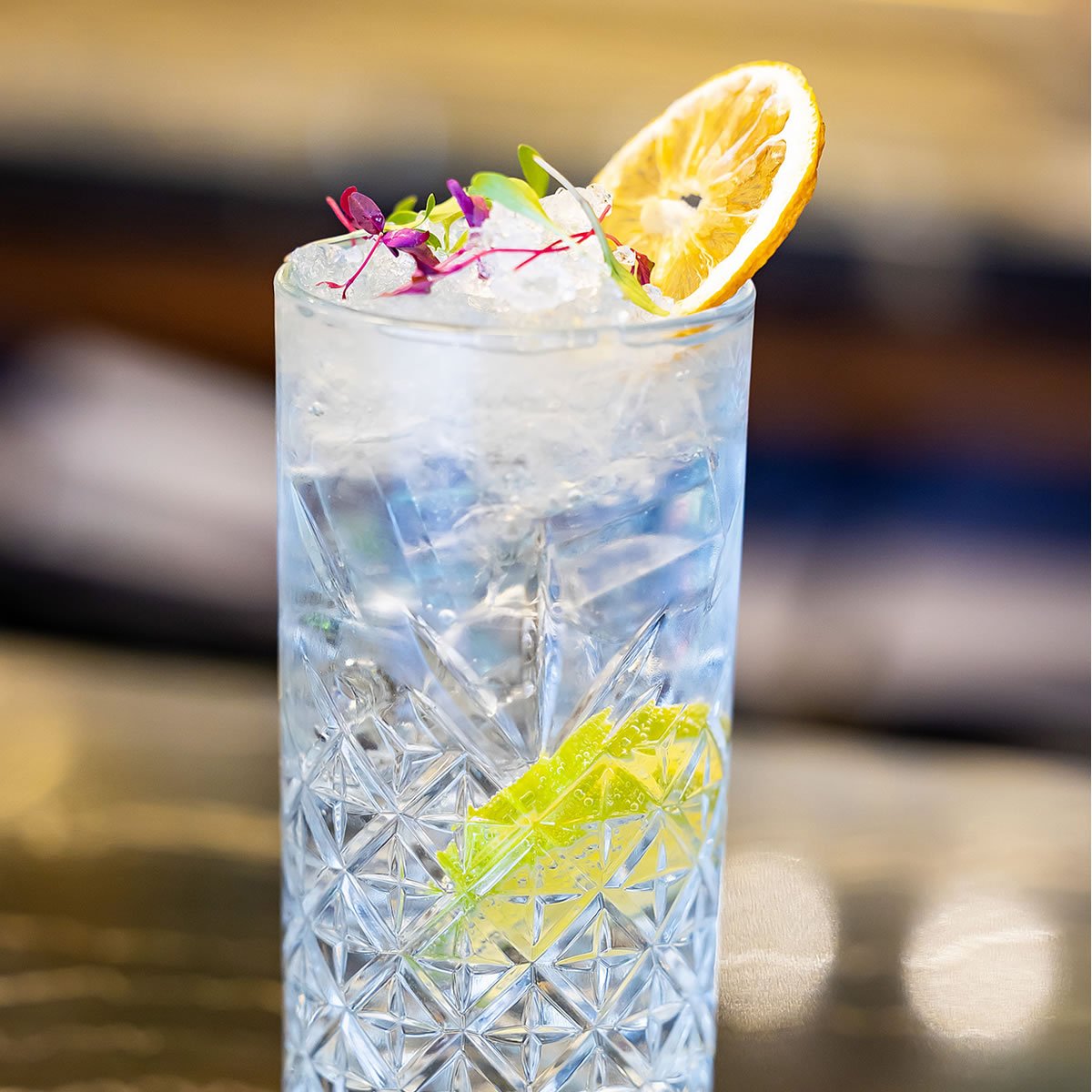 bar-6